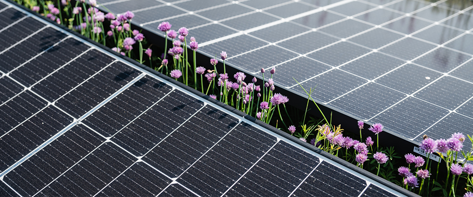 Detailansicht von Photovoltaik-Panelen